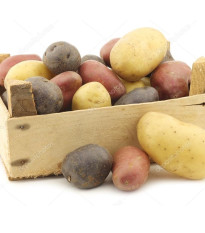 Sadbové zemiaky - 4 druhy - Solanum tuberosum - 12 ks