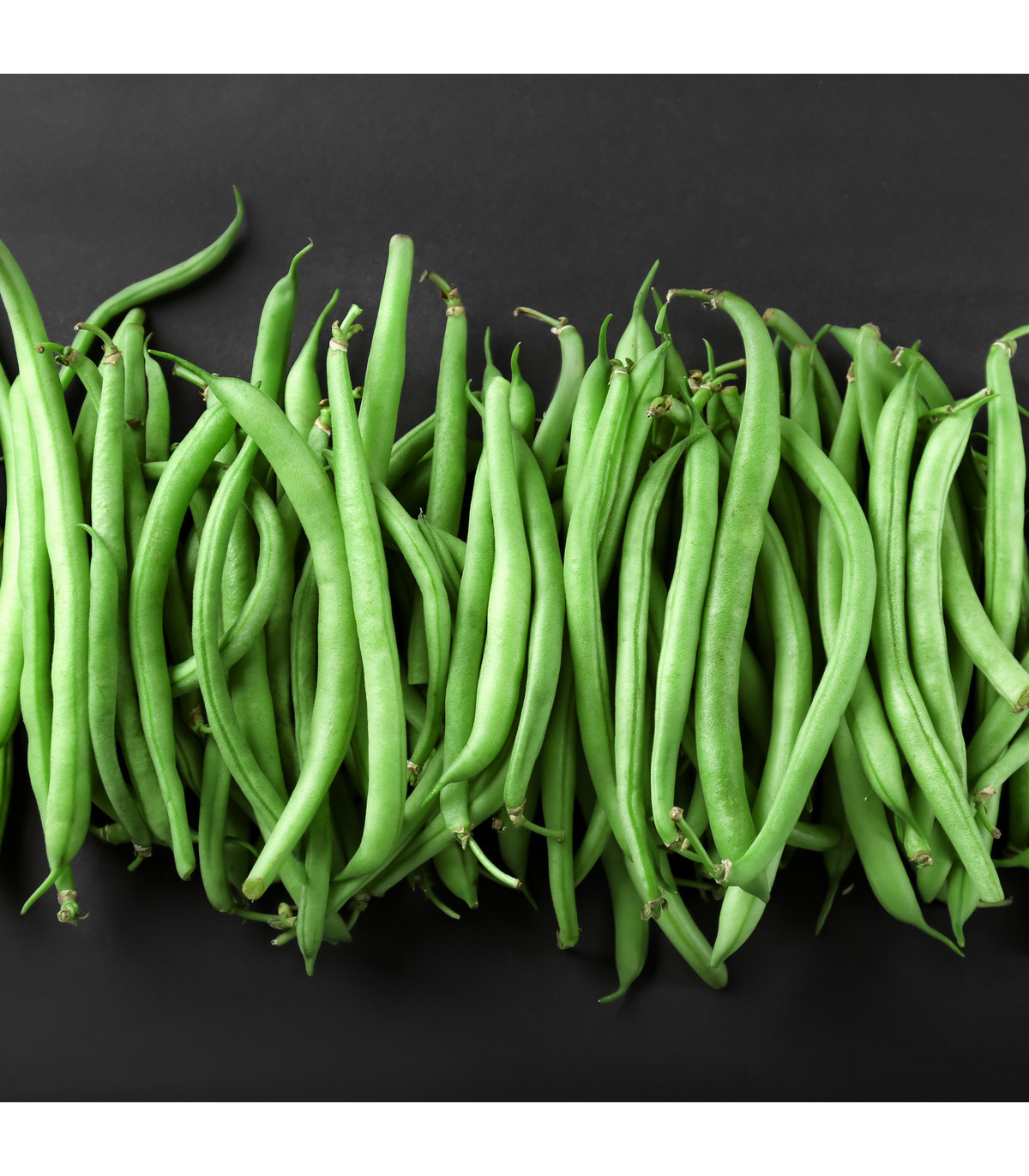 Fazuľa popínavá Primel - Phaseolus vulgaris - semená fazule - 20 ks