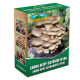 Hliva ustricová - Pleurotus ostreatus - sadivo - 250 ml