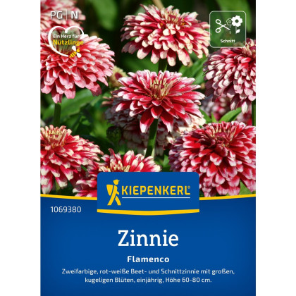 Cínia Flamenco - Zinnia elegans - semená cínie - 50 ks