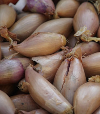 Cibuľa sadzačka Rosanna - Allium cepa - cibuľky - 500 g