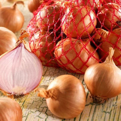 Cibuľa šalotka Red Sun - Allium cepa - cibuľky - 500 g