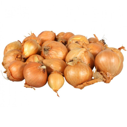 Cibuľa šalotka Golden Gourmet - Allium cepa - cibuľky - 250 g