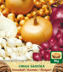 Zmes sadzačiek - Snowball, Karmen, Štutgart - Allium cepa - 150 g