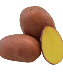 Sadbové zemiaky Red Anna - Solanum tuberosum - 5 kg