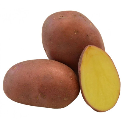 Sadbové zemiaky Red Anna - Solanum tuberosum - 5 kg