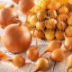 Cibuľa sadzačka Štutgart - Allium cepa - cibuľky - 500 g