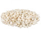 Cibuľa sadzačka Snowball - Allium cepa - cibuľky - 500 g