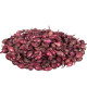 Cibuľa sadzačka Karmen jarná - Allium cepa - cibuľky sadzačky - 250 g