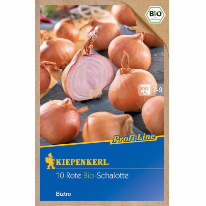 BIO Cibuľa šalotka Biztro - Allium cepa - bio cibuľky - 10 ks