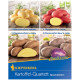 Sadbové zemiaky - 4 druhy - Solanum tuberosum - 12 ks