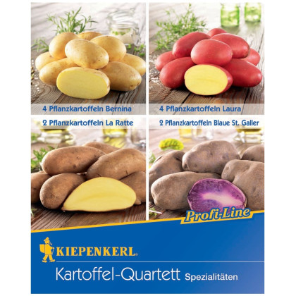 Sadbové zemiaky - 4 druhy - Solanum tuberosum - 12 ks