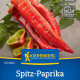 Paprika Thor F1 - Capsicum annuum - semená papriky - 7 ks