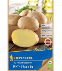 BIO sadbové zemiaky Gunda - Solanum tuberosum - bio zemiaky - 10 ks