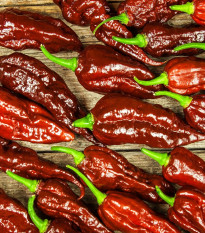 Chilli Bhut Jolokia hnedé - Capsicum Chinense - semená - 5 ks