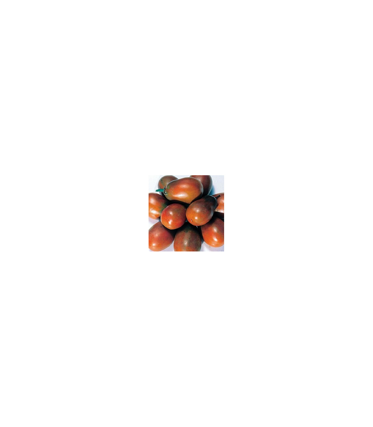 Paradajka Čierna slivka - Lycopersicon esculentum - semená paradajky - 6 ks
