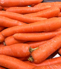 Mrkva Lange Rote Strumpfe - Daucus carota - semená - 900 ks