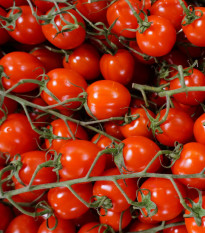 Paradajka Supersweet F1 - Solanum lycopersicum - semená paradajky - 6 ks