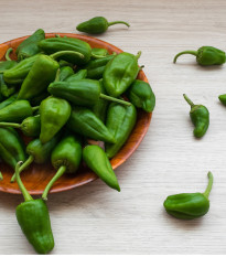 Chilli Pimientos de Padron - Capsicum Annuum - semená - 7 ks