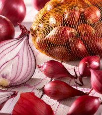 Cibuľka sadzačka červená jarná Rote - Allium cepa - cibuľky - 250 g