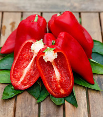 Paprika Snacking Red - Capsicum annuum - semená papriky - 5 ks