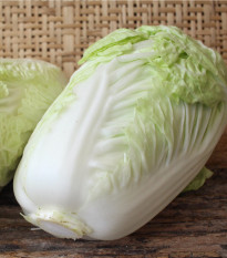 Kapusta pekingská Granaat - Brassica pekinensis - semená kapusty - 200 ks