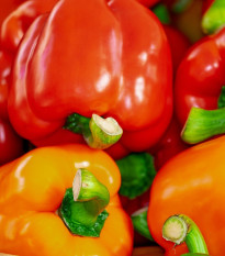 Paprika Baby Bell červená - Capsicum annuum - semená papriky - 8 ks