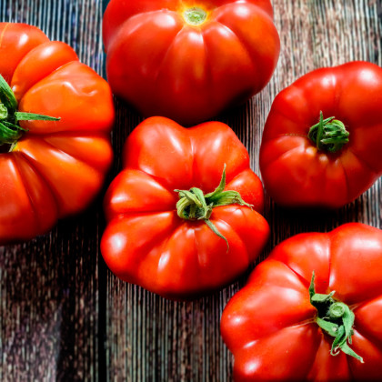 BIO Paradajka Marmande - Solanum lycopersicum - bio semená paradajky - 15 ks
