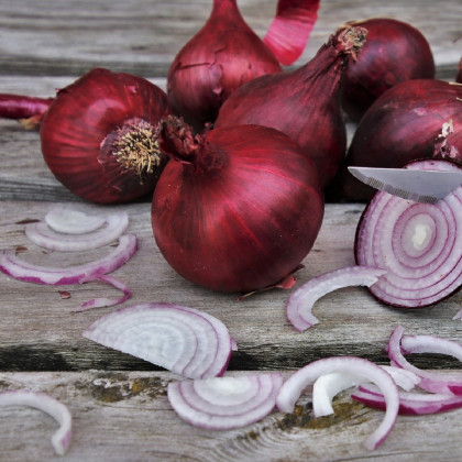 Cibuľa sadzačka Romy jarná - Allium cepa - cibuľky sadzačky - 500 g