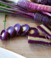 Bio Mrkva fialová Gniff - Daucus carota - bio semená mrkvy - 400 ks