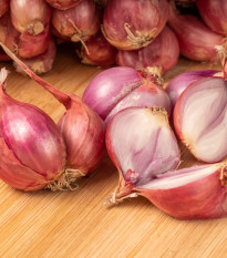 Cibuľa šalotka červená Sante jarná - Allium cepa - cibuľky - 500 g