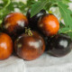 BIO Paradajka Brown Berry - Solanum lycopersicum - bio semená paradajky - 7 ks