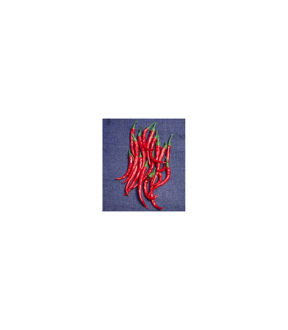 Kajenský peper - Cayenne pepper - EXTRA dlhý - 6 ks