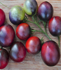 BIO Paradajka Indigo Blue Berries - Solanum lycopersicum - bio semená paradajky - 7 ks