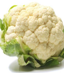 Karfiol skorý Ingloory - Brassica oleracea - semená karfiolu - 20 ks