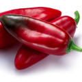 Chilli Anaheim - Capsicum Annuum - semená chilli - 6 ks