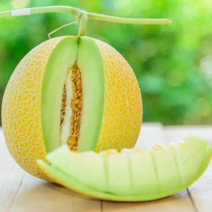 BIO Melón Arava F1 Galia - Cucumis melo - bio semená melóna - 6 ks