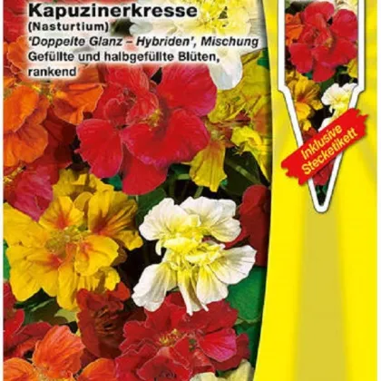 Kapucínka väčšia Doppelte Glanz zmes - Tropaeolum majus - semená kapucínky - 15 ks