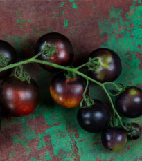 Paradajka tyčková čierna Blackball - Solanum lycopersicum - semená paradajky - 20 ks