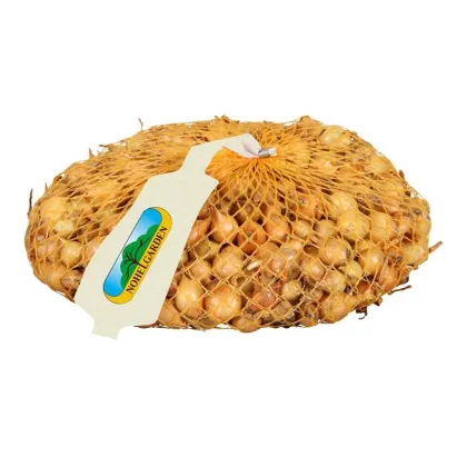 Cibuľa sadzačka Štutgart - Allium cepa - cibuľky - 250 g