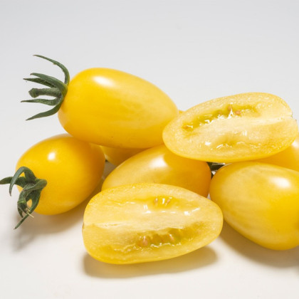 Paradajka Dattolime F1 - Solanum lycopersicum - semená paradajky - 6 ks