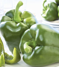 Paprika Beluga green F1 - Capsicum annuum - semená papriky - 5 ks