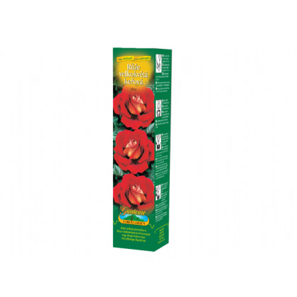 Ruža veľkokvetá kríčková červeno-žltá - Rosa - voľnokorenné sadenice ruží - 1 ks