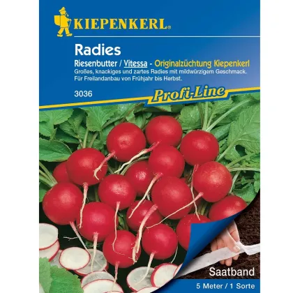 Semená reďkovky obrej Riesenbutter - výsevný pásik - 5 m