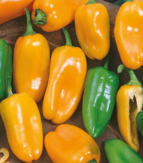 Paprika ročná Hamík - Capsicum annuum - semená papriky - 20 ks