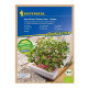 Mikrozelenina - microgreen - náhradné pláty bio reďkovky - 3 ks