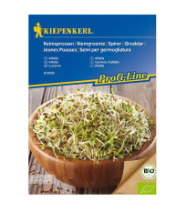 BIO Alfalfa - Lucerna - Medicago sativa - bio semená na klíčenie - 40 g