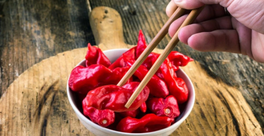 Bhut jolokia chilli – diabolské čili
